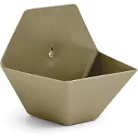 Capi Europe Voederhuisje Wandvoederbak / Plantenbak Hive - Groen - - AHPLG001 - Vogelvoederhuisje voor Vogels