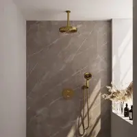Brauer Stripe thermostatische inbouw regendouche 3-weg rond SET 42 met 25 cm douchekop en plafondarm en 3-standen handdouche en doucheslang en wandaansluitbocht goud geborsteld PVD