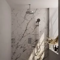 Brauer Stripe thermostatische inbouw regendouche 3-weg rechthoekig SET 24 met 25 cm douchekop en plafondarm en 3-standen handdouche en doucheslang en geintegreerde glijstang RVS-kleurig geborsteld PVD
