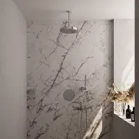 Brauer stripe thermostatische inbouw regendouche 3-weg rond set 39 met 25 cm douchekop en plafondarm en staaf handdouche en doucheslang en