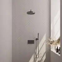 Brauer Stripe inbouw regendouche met 25cm hoofddouche, gebogen muurarm en staafhanddouche set 26 gunmetal geborsteld PVD