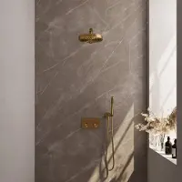 Brauer Stripe inbouw regendouche met 25cm hoofddouche, rechte muurarm en staafhanddouche set 25 messing geborsteld PVD