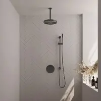Brauer Stripe thermostatische inbouw regendouche 3-weg rond SET 45 met 25 cm douchekop en plafondarm en staaf handdouche en doucheslang en geintegreerde glijstang gunmetal geborsteld PVD