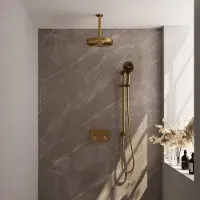 Brauer Stripe inbouw regendouche met 25cm hoofddouche, plafondarm, 3 standen handdouche en glijstang set 36 messing geborsteld PVD