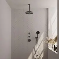 Brauer Stripe inbouw regendouche met 25cm hoofddouche, plafondarm en 3 standen handdouche set 6 gunmetal geborsteld PVD
