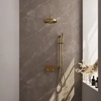 Brauer Stripe inbouw regendouche met 25cm hoofddouche, gebogen muurarm, staafhanddouche en glijstang set 32 messing geborsteld PVD