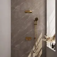 Brauer Stripe inbouw regendouche met 25cm hoofddouche, gebogen muurarm, 3 standen handdouche en glijstang set 35 messing geborsteld PVD