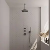 Brauer Stripe inbouw regendouche met 25cm hoofddouche, plafondarm en staafhanddouche set 3 gunmetal geborsteld PVD