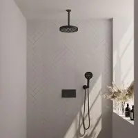 Brauer Stripe inbouw regendouche met 25cm hoofddouche, plafondarm en 3 standen handdouche set 30 zwart mat