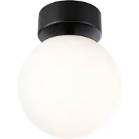 Paulmann Plafondlamp Gove, zwart, Woon-/ Eetkamer, Glas, Modern, Plafondlamp badkamer
