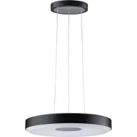 Paulmann Pane II 79517 LED-hanglamp LED LED 22 W Zwart, Grijs