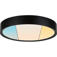 Paulmann 71086 Tega LED-plafondlamp LED LED vast ingebouwd 22.5 W Zwart (mat)