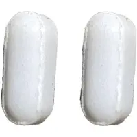 Colombo Stirrer Replacement Magnet 2X