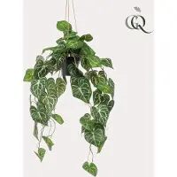 Everspring Kunstplant - Anthurium Clarinervium - Aderplant - 80 cm