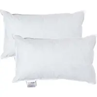 Homescapes kussenvullingen set van 2 – 50×30 cm – eendenveren binnenkussens – OEKO-TEX katoen – RDS-gecertificeerd – wasbaar