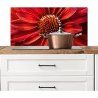 KitchenYeah Spatscherm keuken 80x40 cm - Kookplaat achterwand Close up - Bloem - Quote - Rood - Muurbeschermer - Spatwand fornuis - Hoogwaardig aluminium