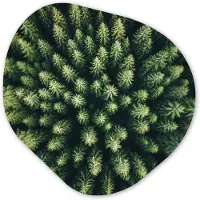 MuchoWow Organische wanddecoratie 40x40 cm - Organisch schilderij Bomen - Naaldwoud - Structuur - Muurdecoratie woonkamer - Kamer decoratie - Schilderijen - Muurcirkel aesthetic