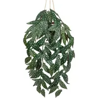BOG Kunstplant In Pot 20 Cm - Decoratieve Kunstplant Voor Tafel - Badkamer - Woonkamer - Nepplant Zoals Echt - Kleine Kunstplant Voor Binnen Decoratie