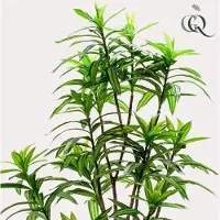 Everspring Kunstplant - Dracaena - Drakenboom - 130 cm