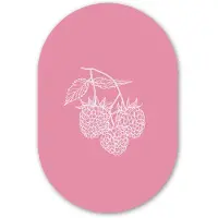 MuchoWow Muurovaal 80x120 cm - Ovale wanddecoratie Frambozen - Steel - Getekend - Roze - Ovalen schilderij - Muurdecoratie woonkamer - Kamer decoratie - Schilderijen - Wandcirkel