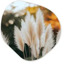 MuchoWow Organische wanddecoratie 90x90 cm - Organisch schilderij Pampasgras - Pluimen - Sierlijk - Muurdecoratie woonkamer - Kamer decoratie - Schilderijen - Muurcirkel aesthetic
