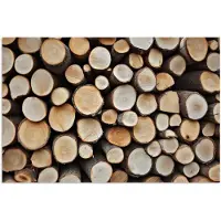 PosterMonkey Poster 90x60 cm - Hout - Boomstammen - Textuur - Posters - Kamer decoratie - Wanddecoratie woonkamer - Muurdecoratie slaapkamer