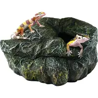 Zoo med Reptielen Grot