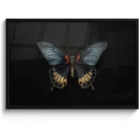 PosterMonkey Poster in lijst - Fotolijst 90x60 cm - Posters - Vlinder - Metaalachtig - Geometrisch patroon - Posterlijst zwart - Decoratie - Wanddecoratie woonkamer - Muurdecoratie slaapkamer
