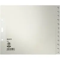 Leitz Dec - Jan Maand-tabbladen A4 Grijs 12 tabs 100 g/m² Karton 3 Gaten 1230