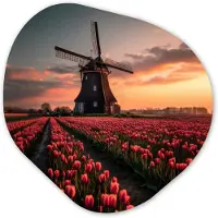 MuchoWow Organische wanddecoratie 40x40 cm - Organisch schilderij Molen - Zonsondergang - Tulpen - Rood - Muurdecoratie woonkamer - Kamer decoratie - Schilderijen - Muurcirkel aesthetic