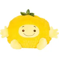 Noxxiez handwarmer - knuffel - kussen - ananas