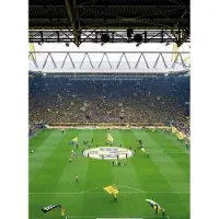 WIZARD+GENIUS Fotobehang - Borussia Dortmund Fan Choreo 192x260cm - Vliesbehang