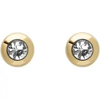 Fossil Oorbellen, Sieraden Stud Oorbellen, (Metaal, Metaal/metaal)