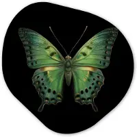 MuchoWow Organische wanddecoratie 60x60 cm - Organisch schilderij Vlinder - Groen - Diepte - Muurdecoratie woonkamer - Kamer decoratie - Schilderijen - Muurcirkel aesthetic