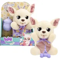 Baby Paws yummy chihuahua