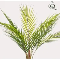 Everspring Kunstplant - Chamaedorea - Bergpalm - 50 cm