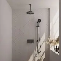 Brauer Stripe thermostatische inbouw regendouche met drukknoppen SET 36 met 25 cm douchekop en plafondarm en 3-standen handdouche en doucheslang en geintegreerde glijstang gunmetal geborsteld PVD