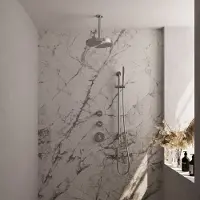 Brauer Stripe thermostatische inbouw regendouche SET 09 met 25 cm douchekop en plafondarm en staaf handdouche en doucheslang en geintegreerde glijstang RVS-kleurig geborsteld PVD