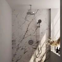 Brauer Stripe Inbouw Regendoucheset Rond - 20cm Plafondbuis - 3-standen Handdouche - Glijstang - Geborsteld RVS PVD - Messing - Kranen, Douchekranen, - Kranen, Douchekranen, Douchesets, Inbouw
