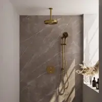 Brauer Stripe thermostatische inbouw regendouche 3-weg rond SET 48 met 25 cm douchekop en plafondarm en 3-standen handdouche en doucheslang en geintegreerde glijstang goud geborsteld PVD