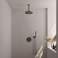 Brauer Stripe thermostatische inbouw regendouche 3-weg rond SET 39 met 25 cm douchekop en plafondarm en staaf handdouche en doucheslang en wandaansluitbocht gunmetal geborsteld PVD