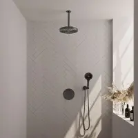 Brauer Stripe Inbouw Regendoucheset Rond - 20cm Plafondbuis - 3-standen Handdouche - Wandhouder - Geborsteld Gunmetal PVD - Messing - Kranen, - Kranen, Douchekranen, Douchesets, Inbouw douchesets