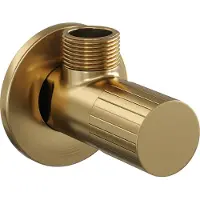 Brauer Stripe hoekstopkraan compleet met slang goud geborsteld PVD