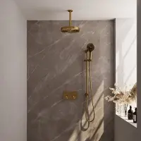 Brauer Stripe Inbouw Regendoucheset Met Drukknoppen - 20cm Plafondbuis - 3-standen Handdouche - Glijstang - Geborsteld Goud PVD - Messing - Kranen, - Kranen, Douchekranen, Douchesets, Inbouw