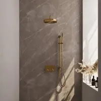 Brauer Stripe Inbouw Regendoucheset Met Drukknoppen - Gebogen Wandarm - Staafhanddouche - Glijstang - Geborsteld Goud PVD - Messing - Kranen, - Kranen, Douchekranen, Douchesets, Inbouw douchesets