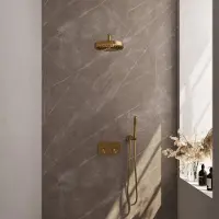 Brauer Stripe Inbouw Regendoucheset Met Drukknoppen - Gebogen Wandarm - Staafhanddouche - Wandhouder - Geborsteld Goud PVD - Messing - Kranen, - Kranen, Douchekranen, Douchesets, Inbouw douchesets
