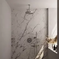 Brauer stripe thermostatische inbouw regendouche 3-weg rond set 39 met 25 cm douchekop en plafondarm en staaf handdouche en doucheslang en