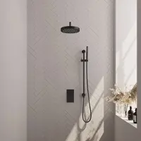 Brauer stripe thermostatische inbouw regendouche 3-weg rechthoekig set 20 met 25 cm douchekop en gebogen muurarm en staaf handdouche en doucheslang en