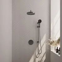 Brauer Stripe Inbouw Regendoucheset Rond - Gebogen Wandarm - 3-standen Handdouche - Glijstang - Geborsteld Gunmetal PVD - Messing - Kranen, - Kranen, Douchekranen, Douchesets, Inbouw douchesets