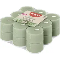 Bolsius Geurkaars True Scents Rozemarijn Groen 6 Uur D 3,7 H 2,1 Cm 18 Stuks